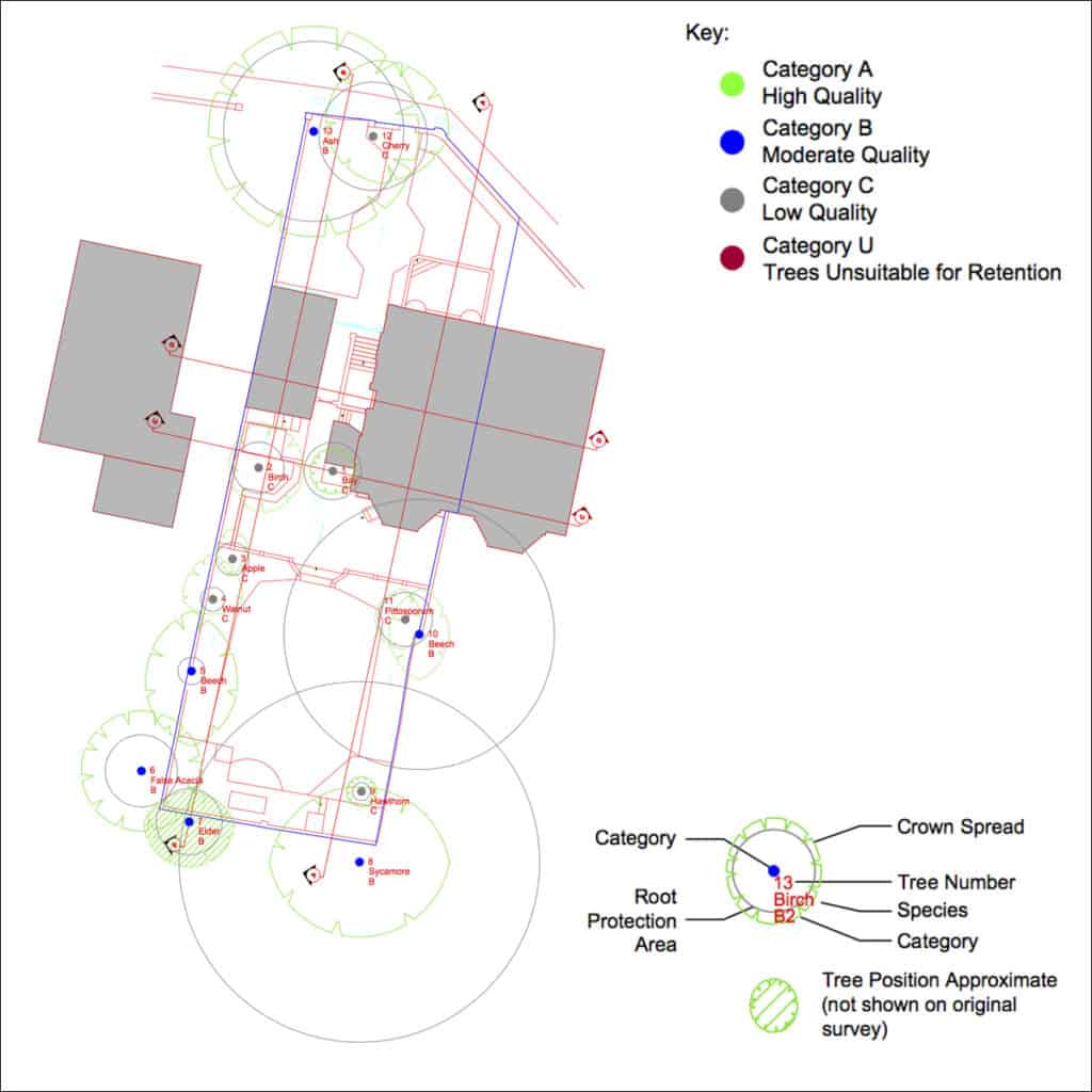 Residential tree quality assessment diagram