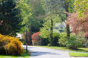 St George's Hill Resident's Association