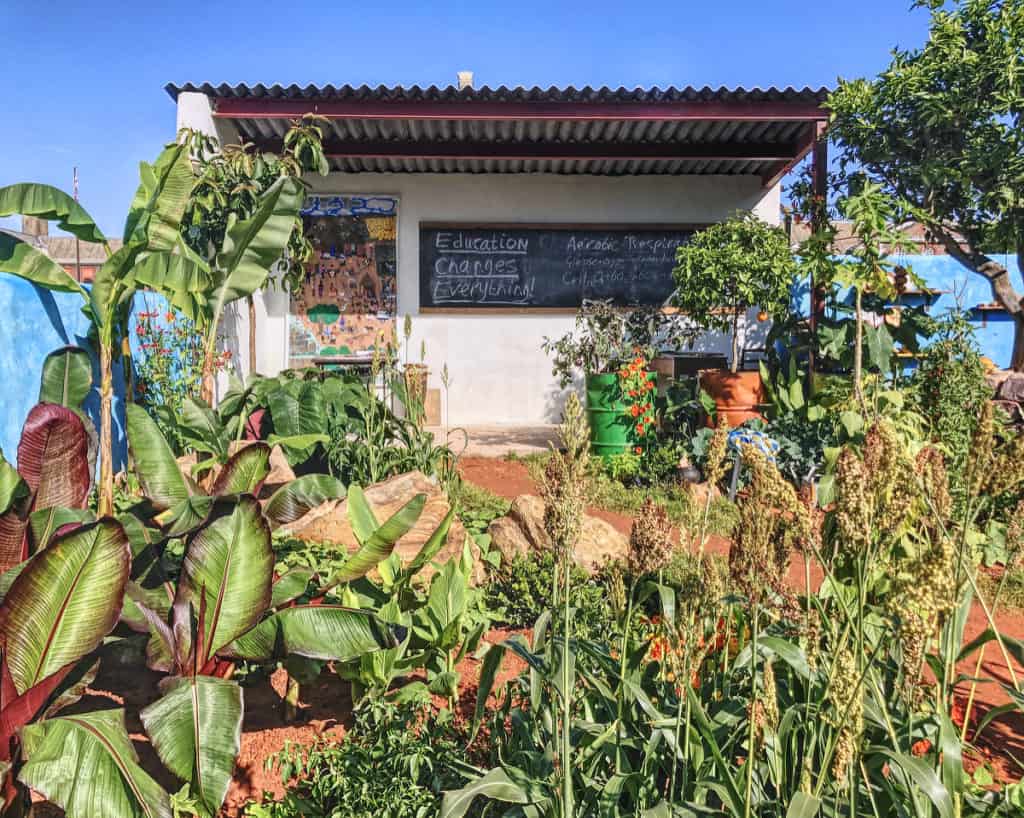 Chelsea Flower Show CAMFED Garden: Giving Girls in Africa a Space to Grow