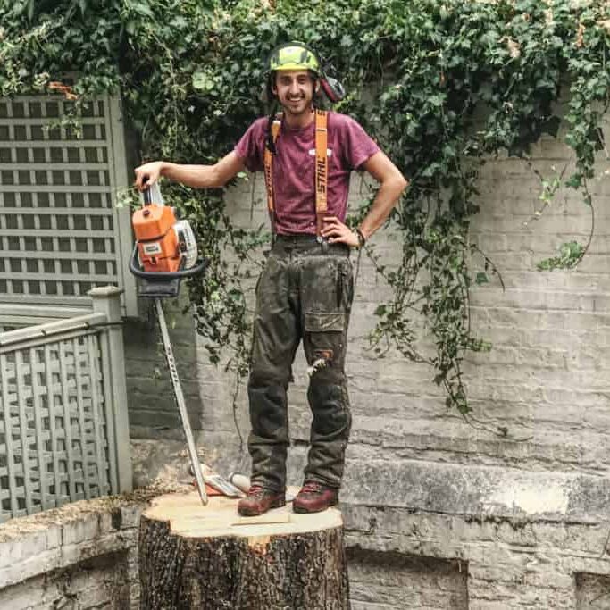 Getting rid of a protected tree in Chelsea